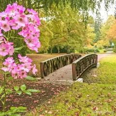 Branches Bridge - Friedhof Ohlsdorf, Hamburg