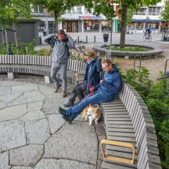 Rough&Ready Curved Benches - Stora torg, Eslöv