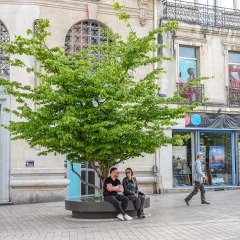 Giant Flowerpot - Place Darcy, Dijon