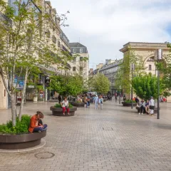 Giant Flowerpot - Place Darcy, Dijon