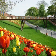 Crossline Bridge - BUGA, Havelberg