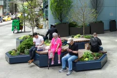 Solid Hex Green Isles