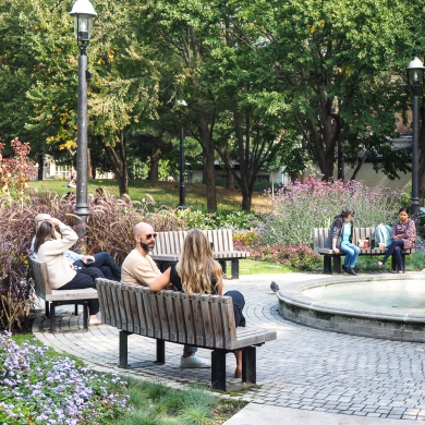 Bancs Solid Curved - Toronto, Canada