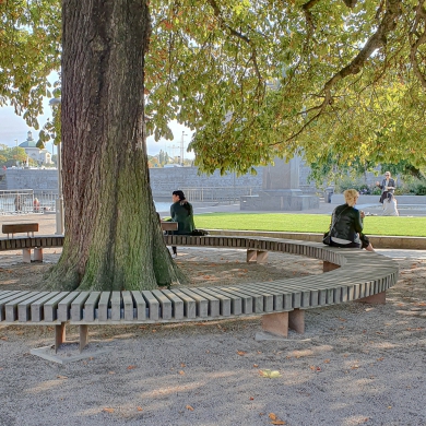 Rough&Ready Circular Benches